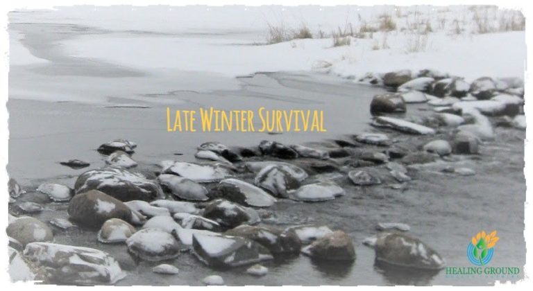 Late winter survival